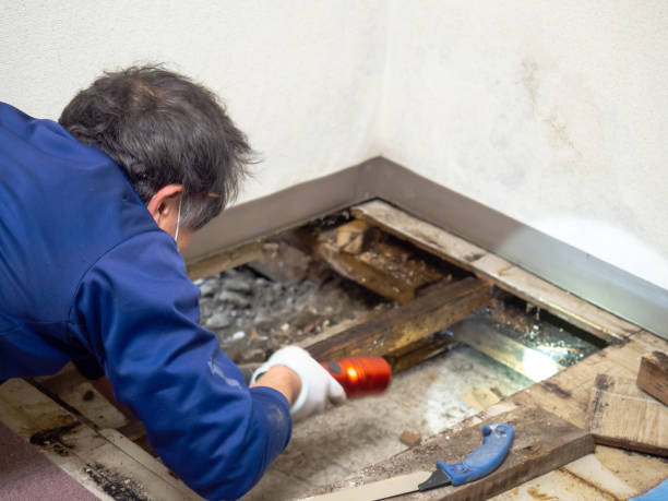 Best Residential Mold Remediation in Captains Cove, VA