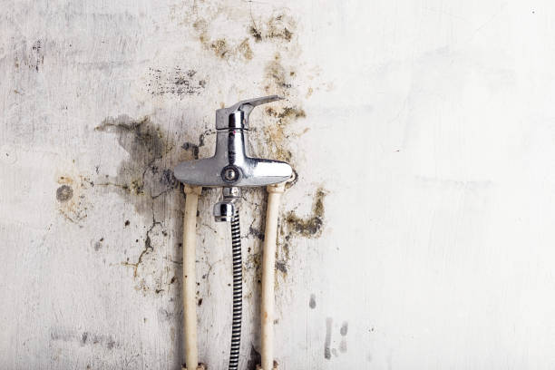 Best Insurance-Related Mold Remediation in Captains Cove, VA
