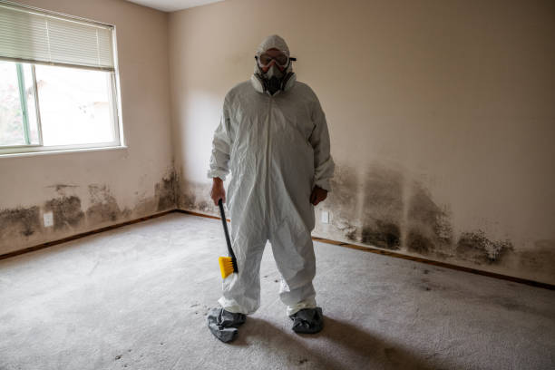Best Mold Remediation for Schools in Captains Cove, VA