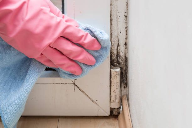 Best Residential Mold Remediation in Captains Cove, VA